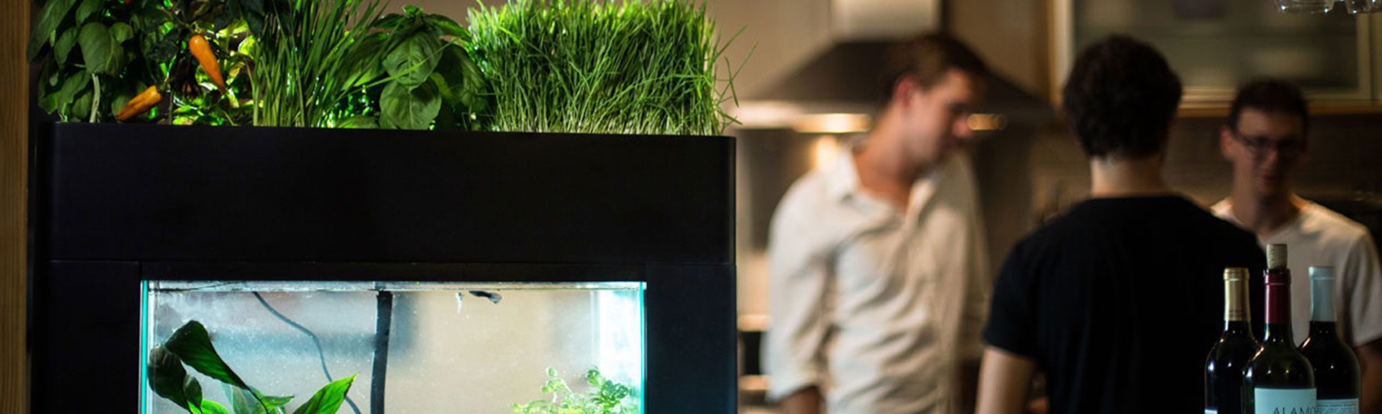 Read Aquasprouts's story